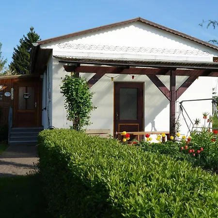 Nelius - 1 Holiday home
