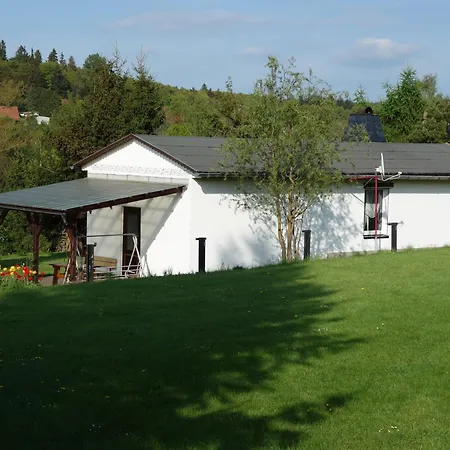 Nelius - 1 *